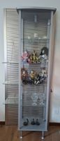 Glasvitrine mit Metallrücken, Licht, offen und geschlossen