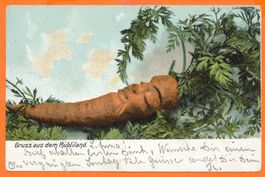 Gruss vom RÜBLILAND / AG - schlafendes RÜEBLI - 1903