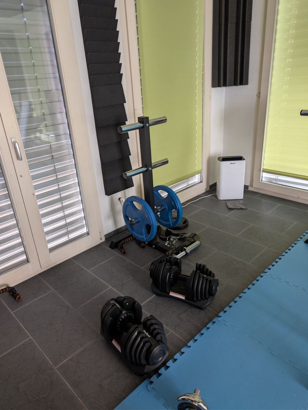 Hometrainer: Olympia – Usato da Meisterschwanden venduto da solarc 1