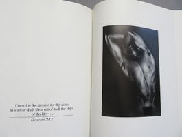 Adam - von Geoffrey Holder - Männerfotografien - Bildband