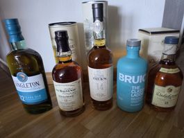 5 neue Whiskys: Singleton, Balvenie, Oban, Bruichladdich...
