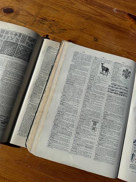 Libri: Ancien Larousse complet en 2 tome – Usato da Engollon venduto da Winters91 3