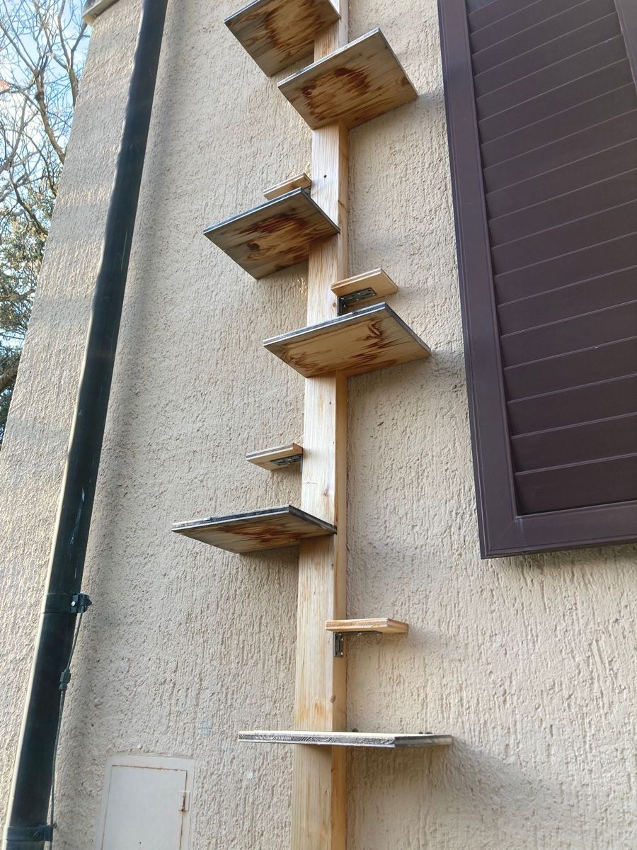 Scale: Katzenleiter – Usato da Winterthur venduto da Floraundfauna 1