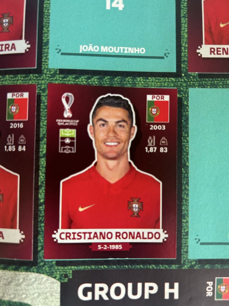 Panini Album: WM Qatar 2022 Album – Nuovo (secondo la descrizione) da Biberist venduto da urb_vcc9 5