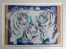 Rolf Knie - Drei weisse Tiger