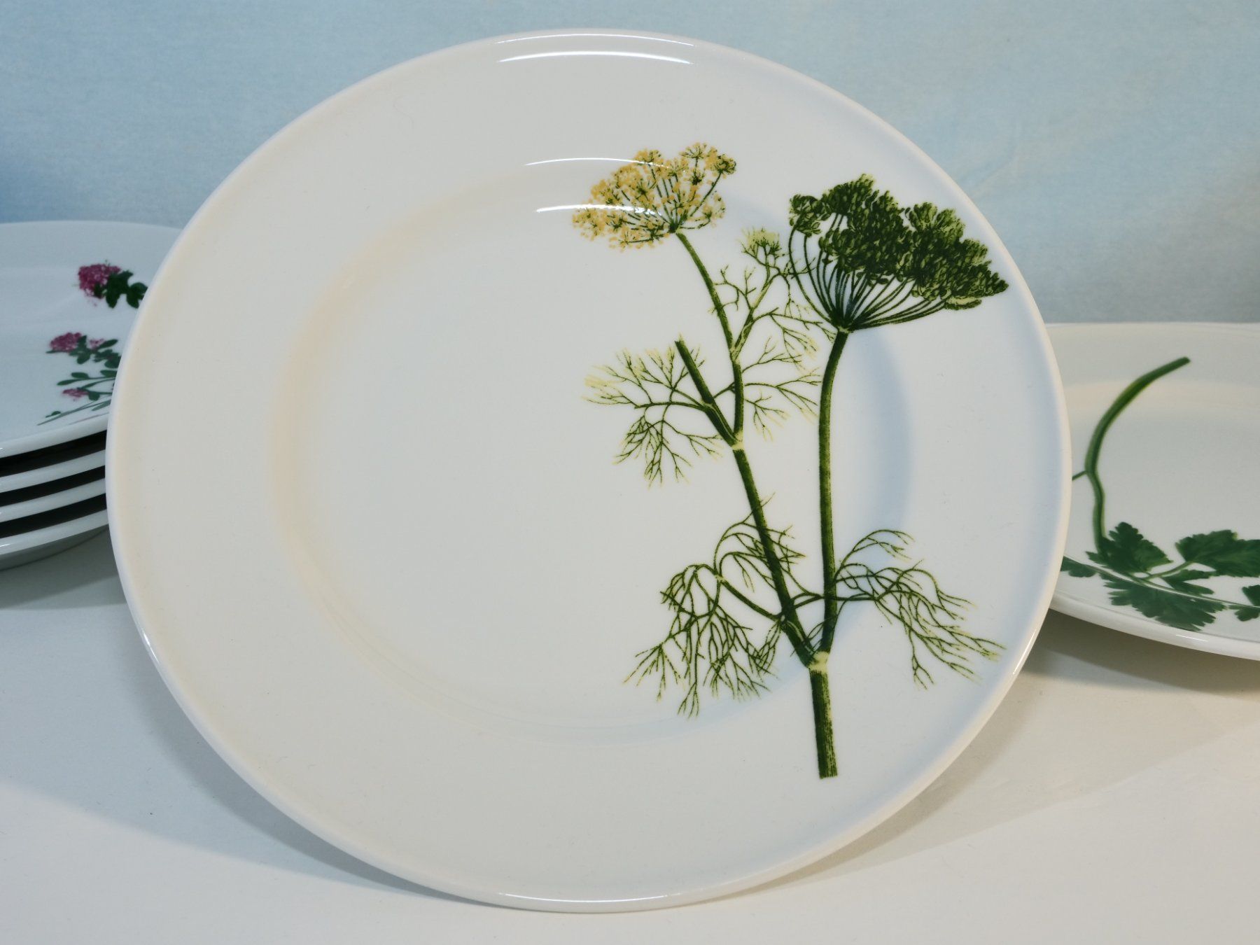 Dibbern Piatti: Dibbern Schösswald Teller Set, Kräuter Design, Top – Usato da Lustmühle venduto da Glatisant 3