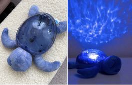 Wellenrauschen und Wellenprojektion Schildkröte blau