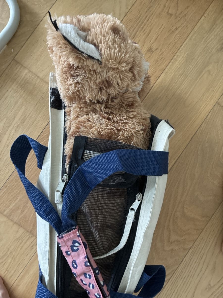 Sacs: Cat or dog carrier  – D'occasion à Walenstadt par bedina92 3