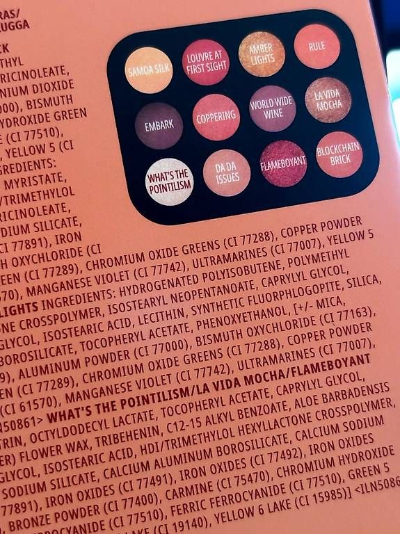 Make-up: MAC Cosmetics Eye Shadow palette x 12 Future Flame – Nuovo e nell'imballaggio originale da Lausanne venduto da mpampouras 2