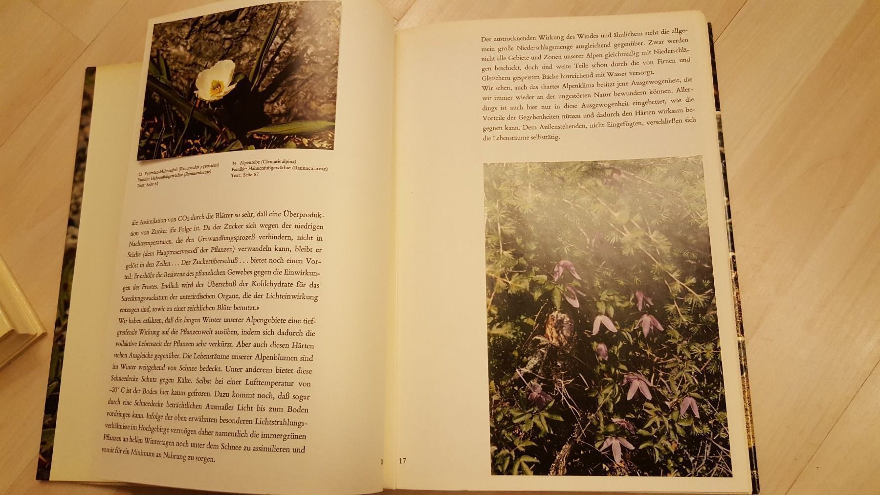 Libri: Alpenblumen Buch – Usato da Schönengrund venduto da Liane63 7