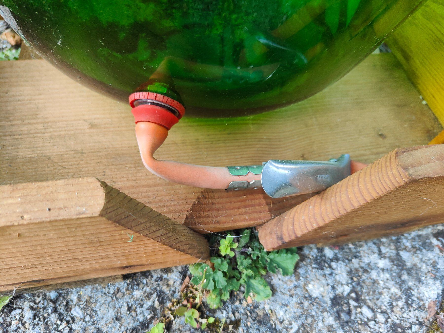 Zubehör: Bonbonne à jus de pommes – Gebraucht aus Corgémont von Similitude 1