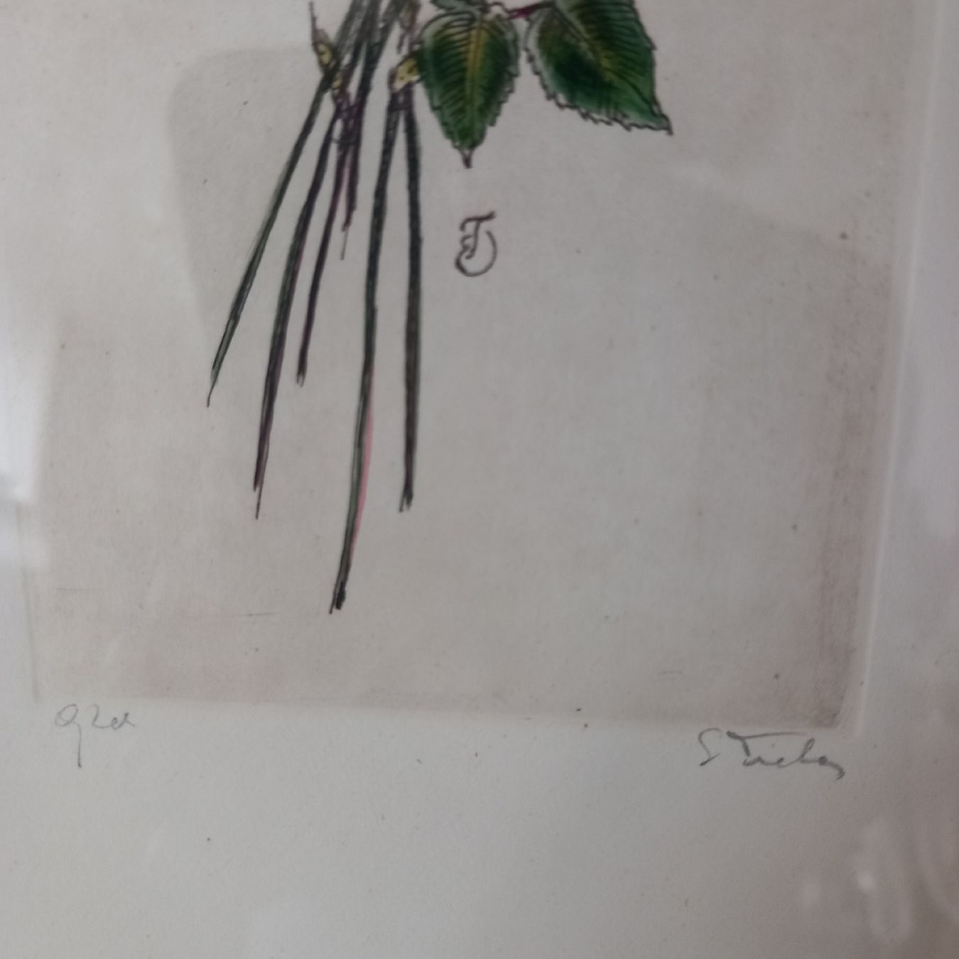 Poster & Bilder: Antikes Rosen Bild / Nostalgie – Gebraucht aus Aegerten von gismolini 9