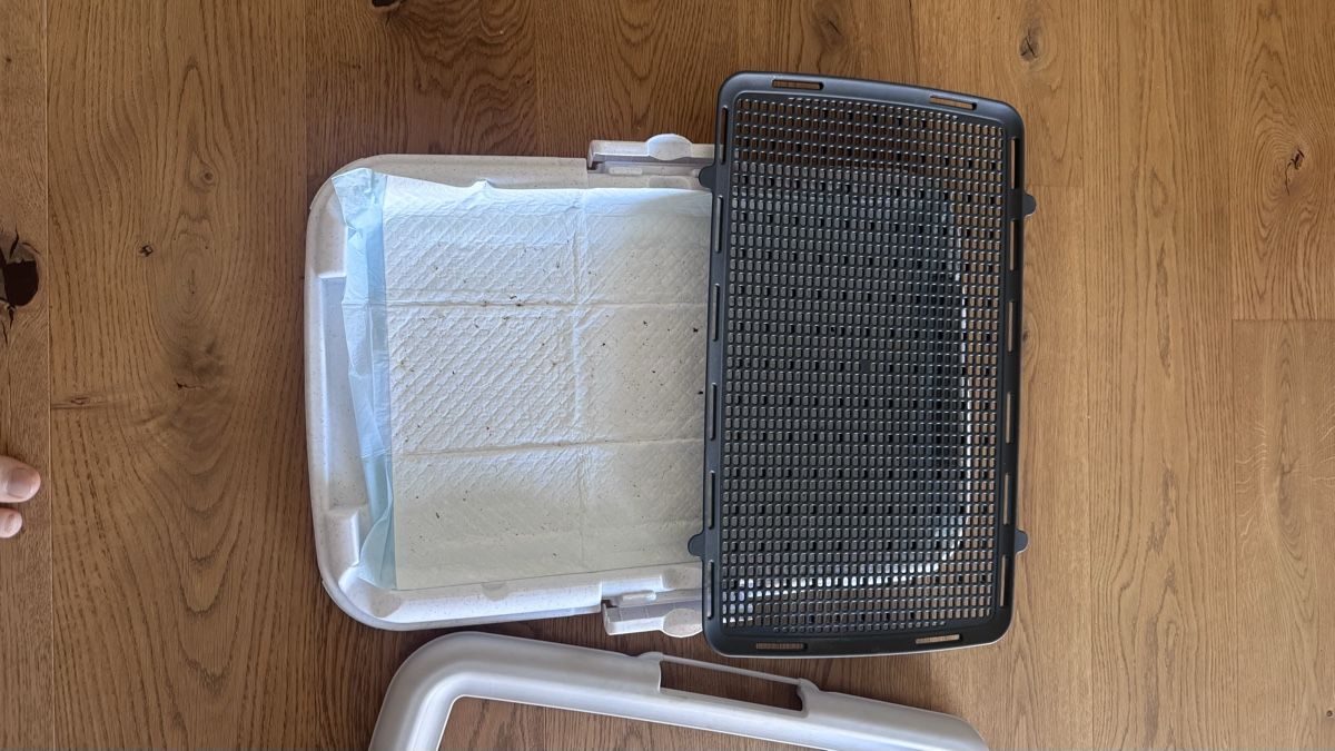 WC: Hundetoilette / Welpentoilette – Gebraucht aus Thalwil von reustr 1