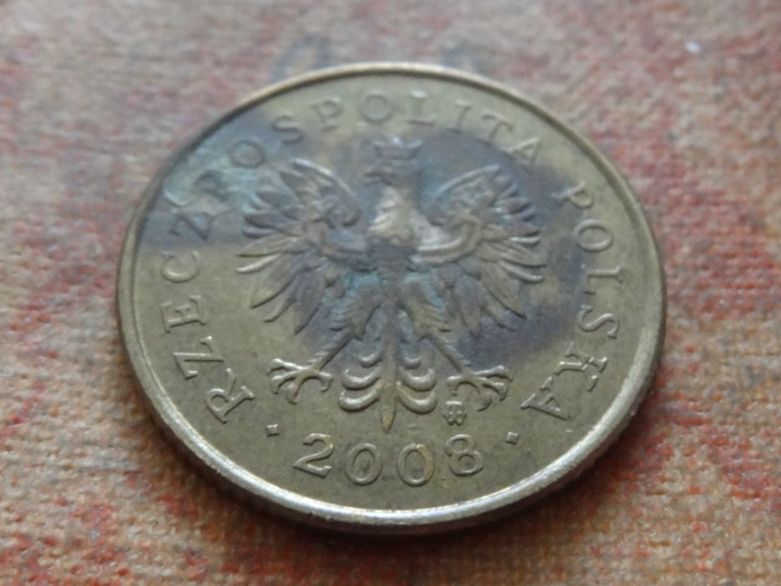 Toutes les monnaies: Pologne  5  Groszy  2008 – D'occasion à Romanel-sur-Lausanne par Swift13 1