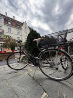 City Bike  Classic Black Bicycle with Basket