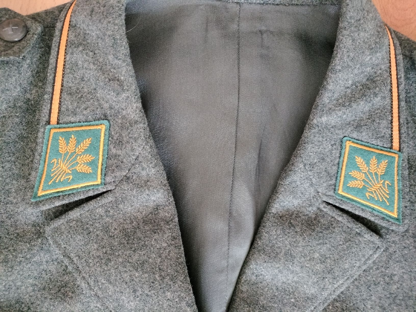 Schweizer Armee Uniformi: Antike Schweizer Armee Militär Uniform – Usato da Schwanden Sigrisw venduto da cadieux71 2