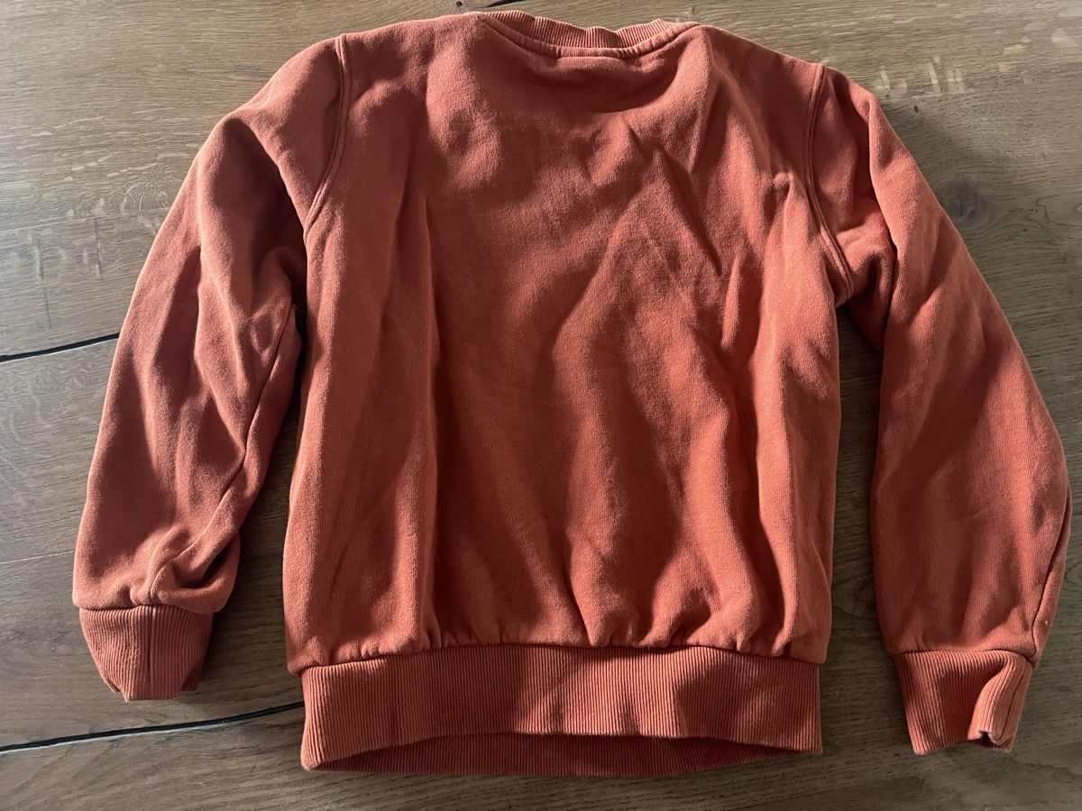 Ellesse Maglioni & Felpe: Ellesse Pullover rostrot Grösse 128-134  – Usato da Täuffelen venduto da Nice800 2