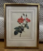 Vintage Rosenbild auf Seide gerahmt Redouté Stil