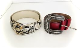 Trendige Damengürtel im Set, Schlangenmuster & Rot