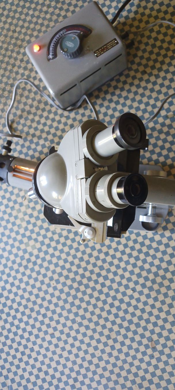 Olympus Microscopi: Mikroskop Olympus made in Japan – Usato da Gossau ZH venduto da Ooosssaaa 3