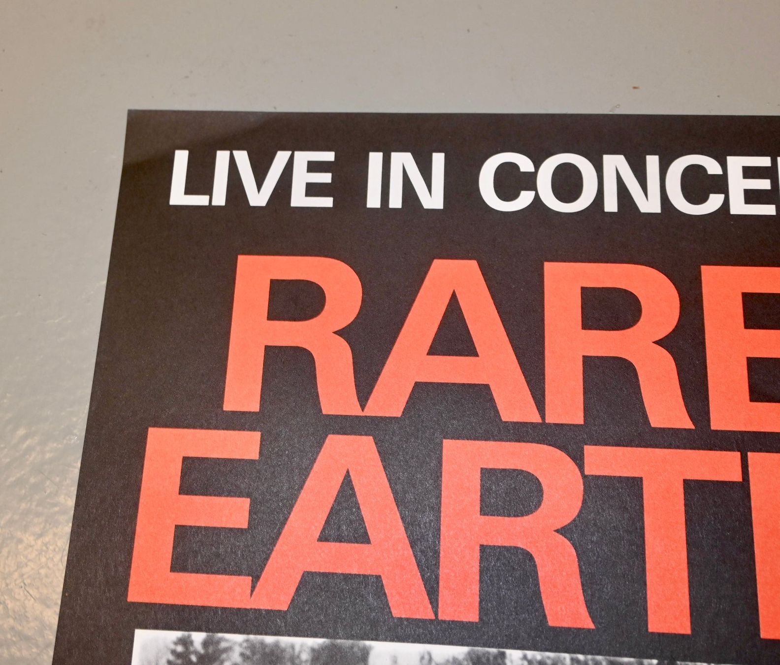 Dischi in vinile: RARE EARTH Concert Poster 1990 ORGINAL – Usato da Pfaffhausen venduto da mono_rec 7