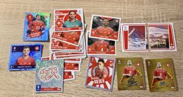 Topps EM 2024 Int. Edition Schweiz komplett mit 2x SP SUI