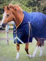 Premier Equine Buster Original Turnout Decke, 50g, 145cm