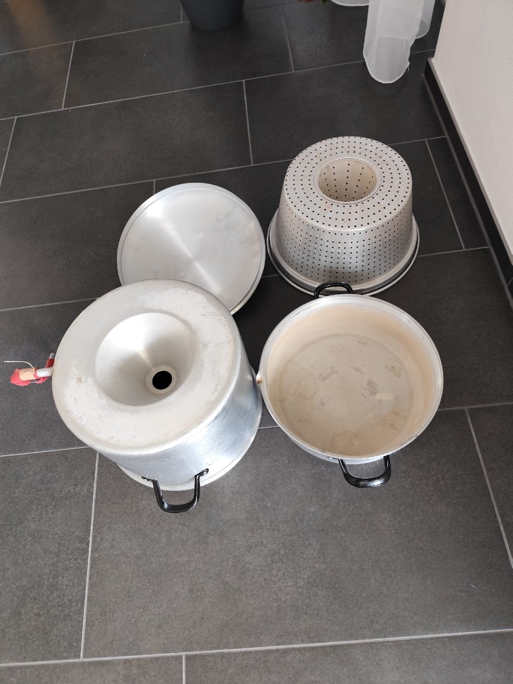 Elettrodomestici da cucina: Entsafter aus Aluminium – Usato da Glarus venduto da anrda 7