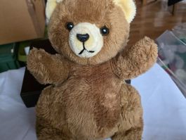 Plüschtier Teddy Bär siehe Foto