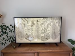Samsung The Frame 49 Zoll