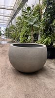 JACO Pflanzgefäss Rena Ø 72 cm – neu – Natural Concrete