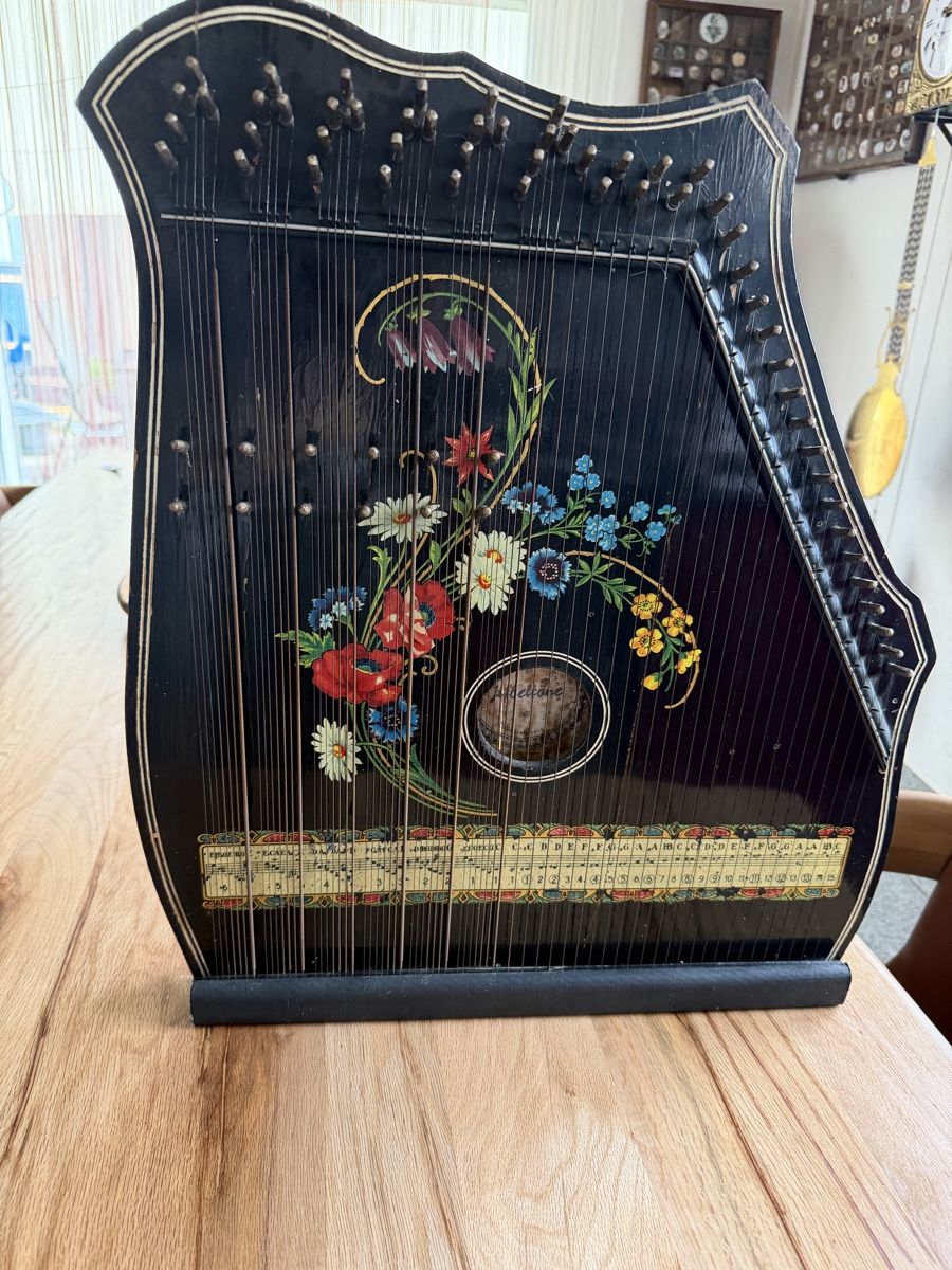 Musikinstrumente: Zither mit Blumenmalerei – Gebraucht aus Beromünster von Ctempo