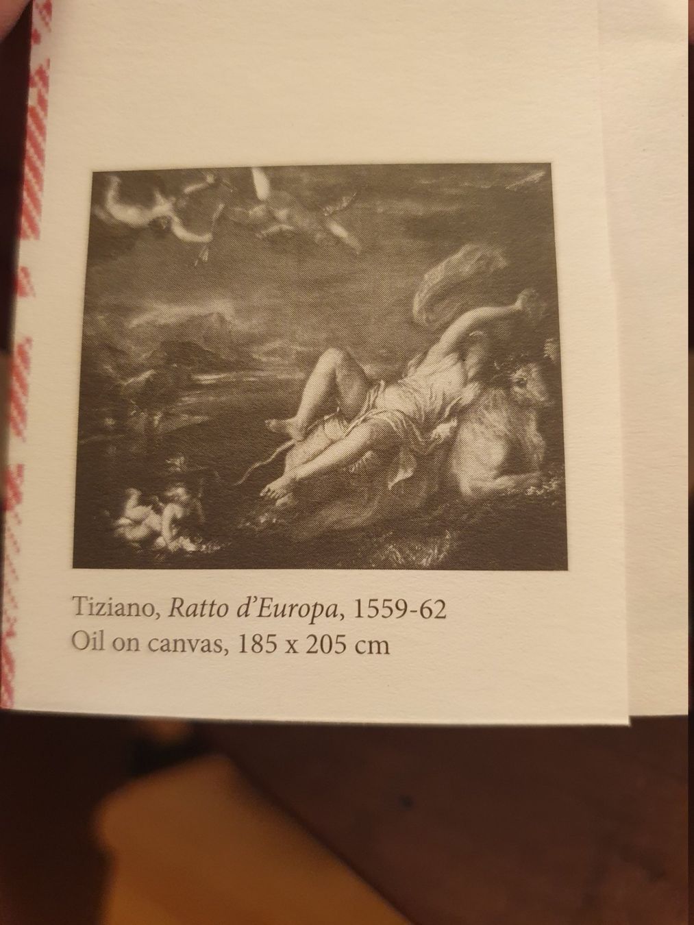 Libri: Der Raub der Europa - Leander Schwzer – Usato da Zürich venduto da loosebone 1