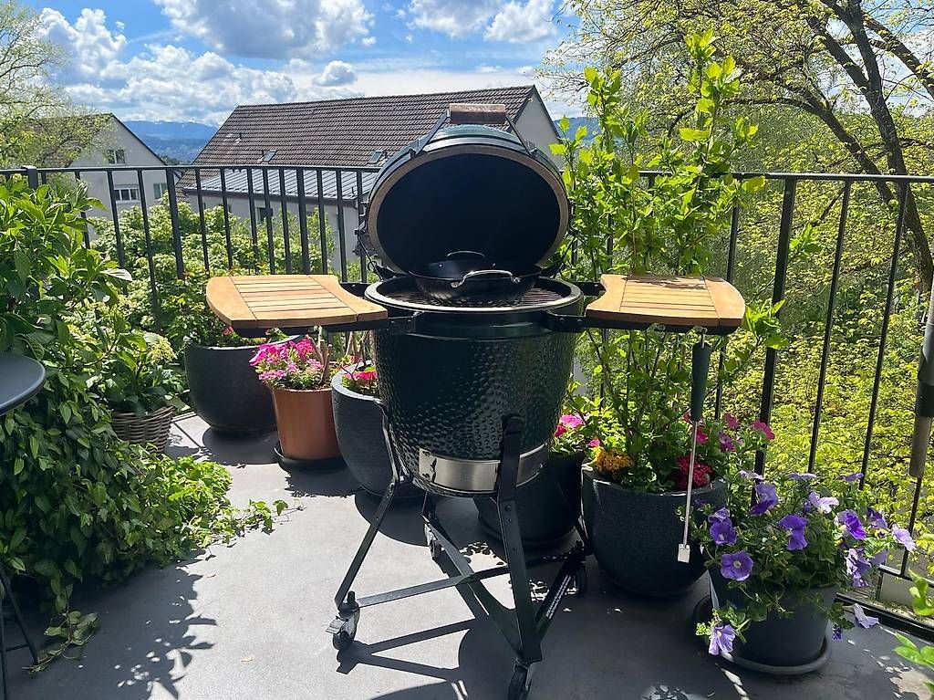 Griglie: Big Green Egg – Usato da Zürich venduto da agataB01 1