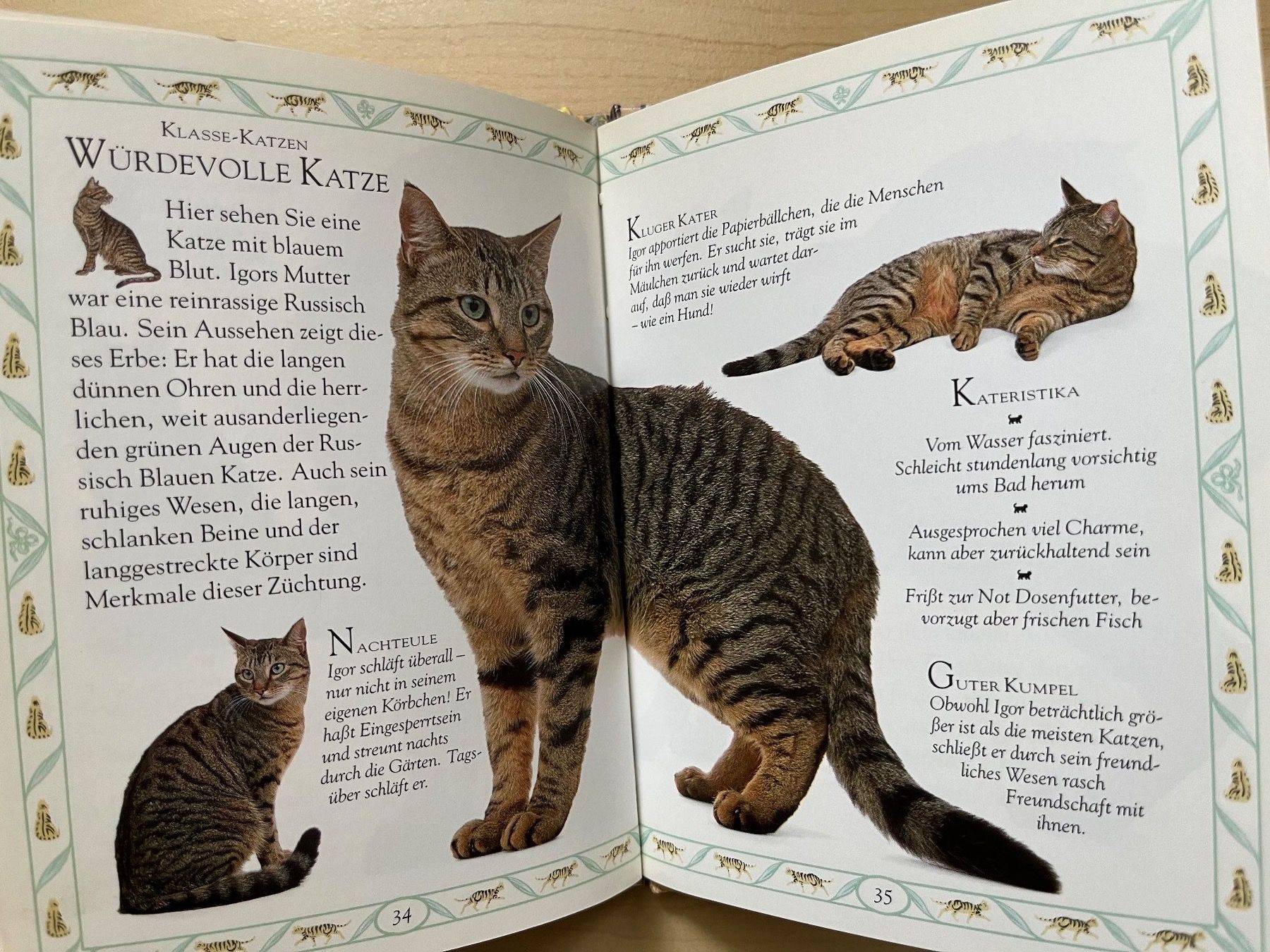 Libri: Tigerkatze - Das persönliche Brevier – Usato da Zürich venduto da Gurkis 6