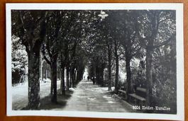 Heiden - Kurallee 1930