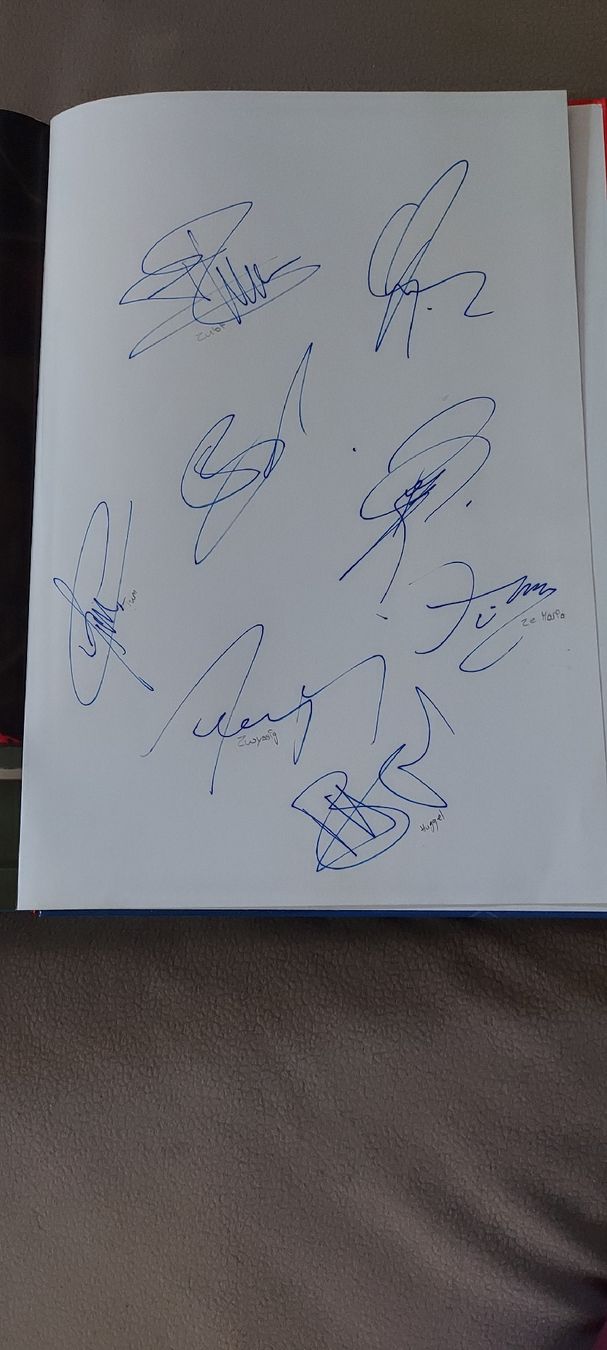 Libri: FC Basel Buch 2002/2003, mit Autogrammen, Top Zustand! – Usato da Liestal venduto da swary007 2