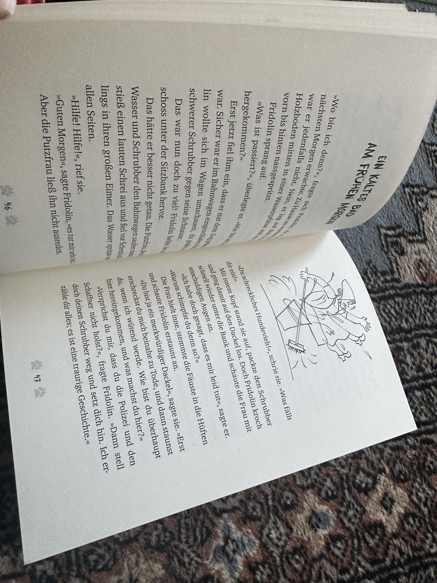 Libri: FRIDOLIN buch – Usato da Uster venduto da bek_v2ct 3