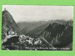 Summet des Rochers de Naye et les alpes