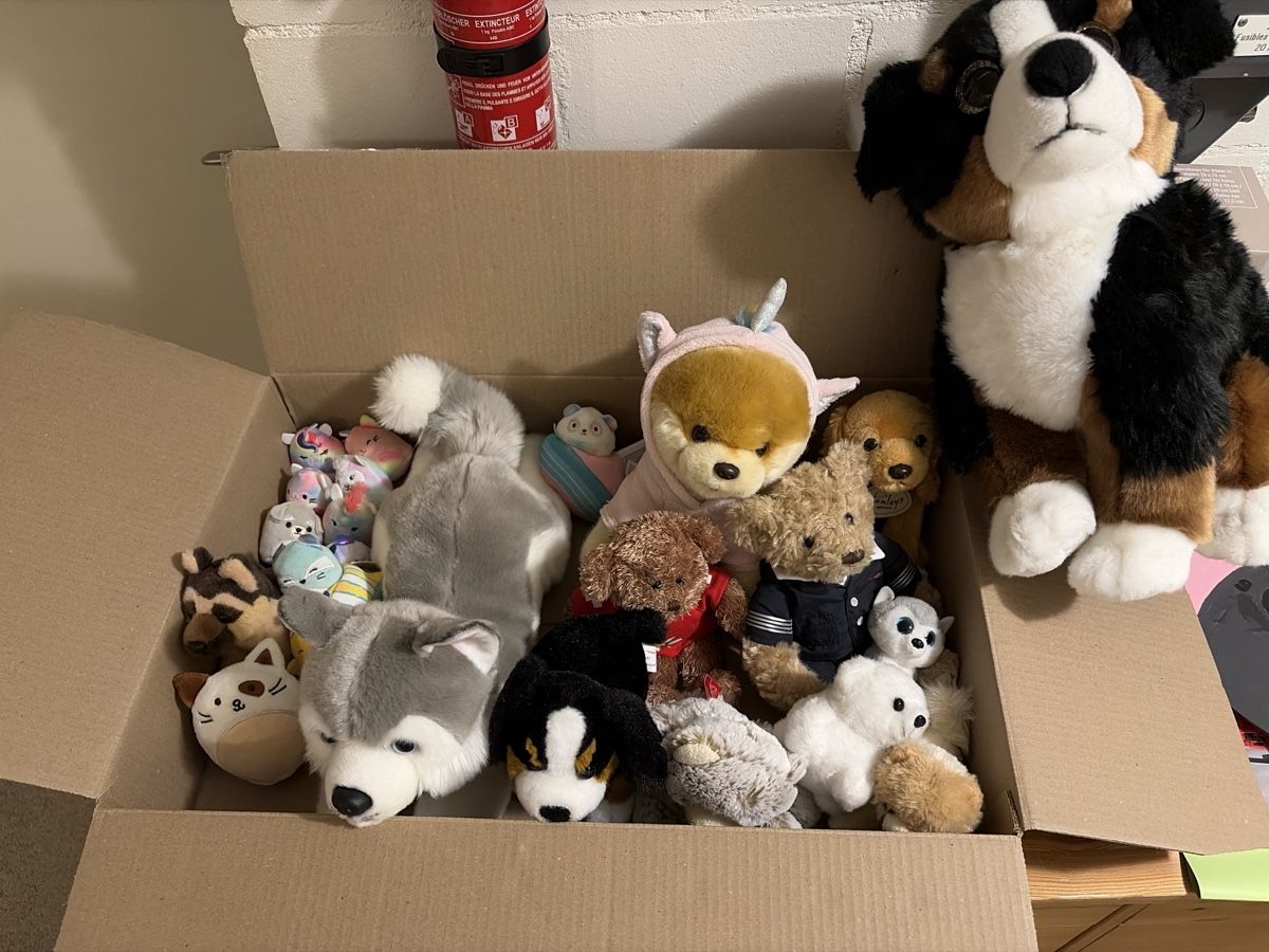 Giocattoli: Lot de peluches  – Usato da le mont sur lausanne venduto da Alecour