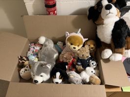 Lot de peluches 