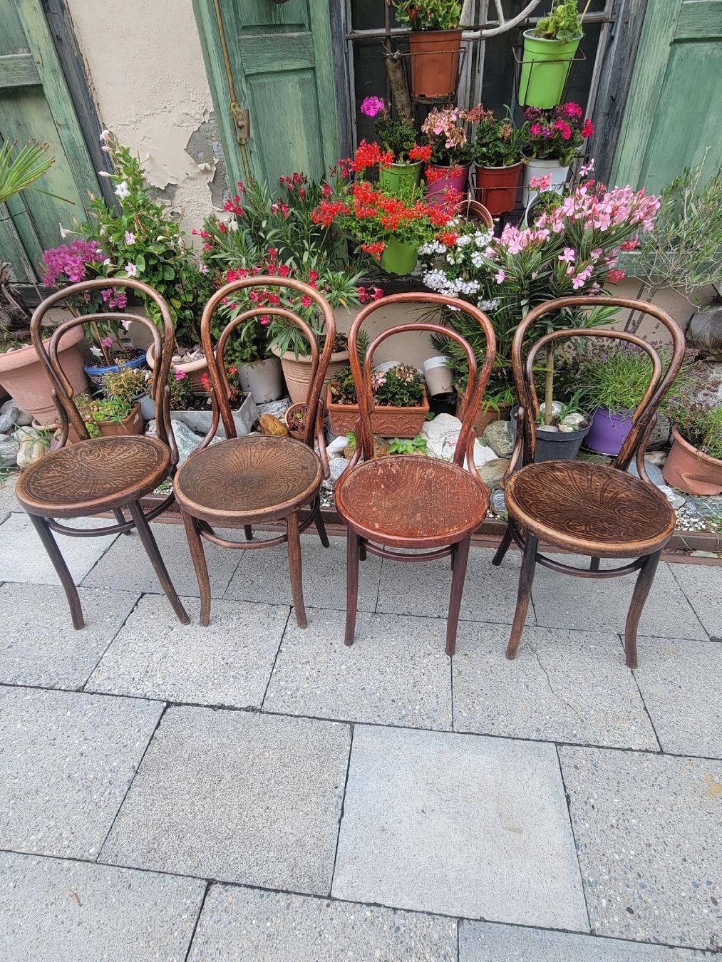 Chaises: 4 Bugholzstühle antik – D'occasion à Sils im Domleschg par platin01