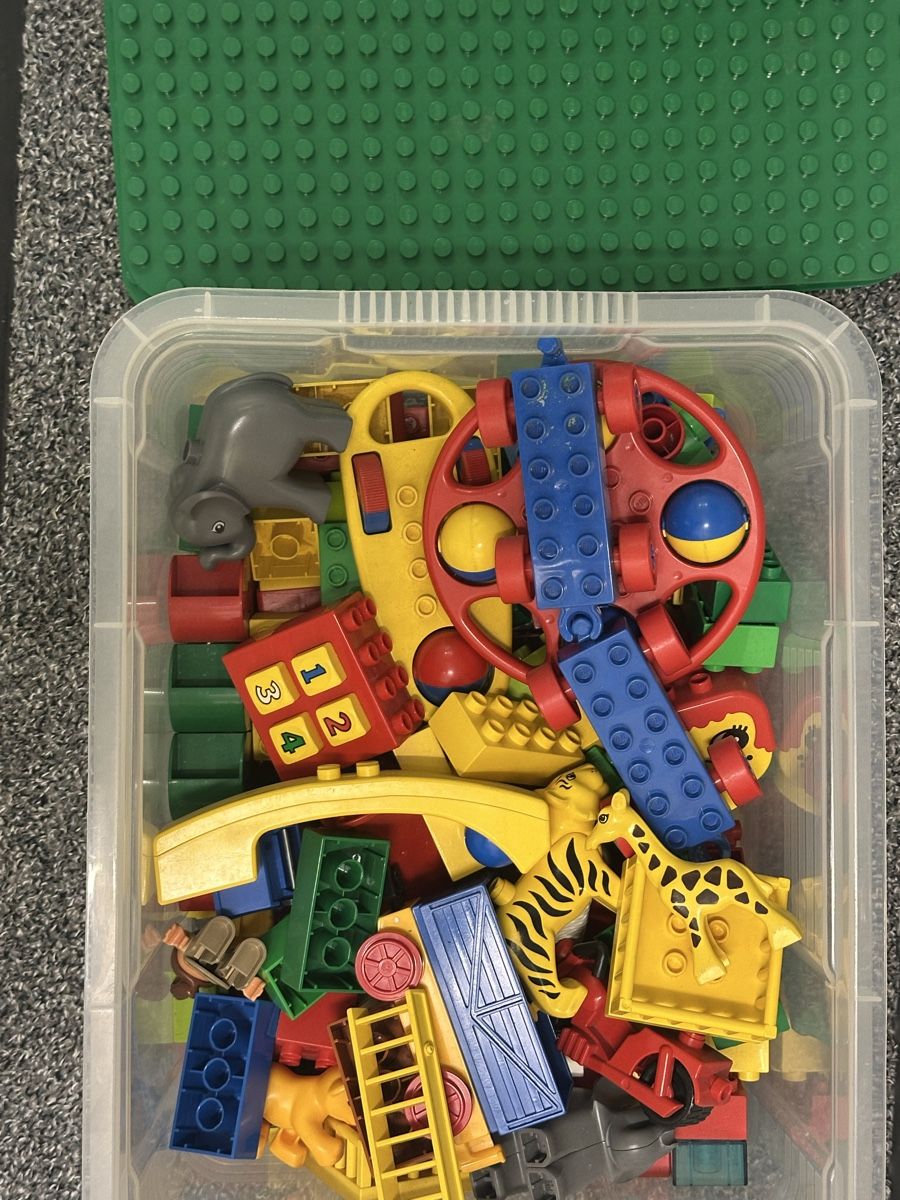 Lego Giocattoli: LEGO DUPLO Bausteine und Tiere gebraucht – Usato da Zürich venduto da cbu_wh5s