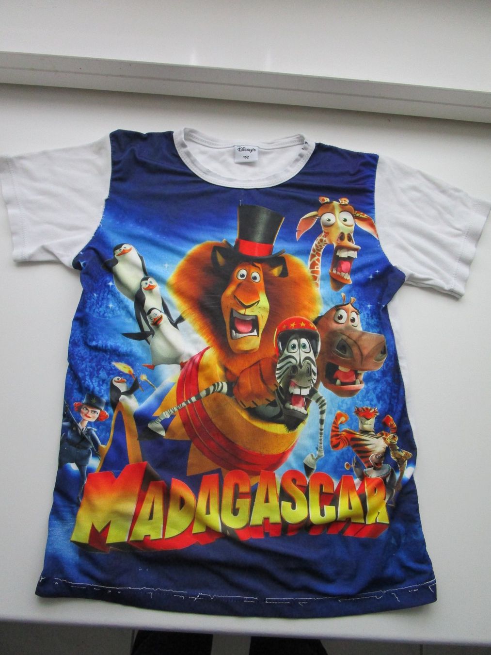 T-shirt: Madagascar T-Shirt Grösse 152 – Usato da Mülligen venduto da gipseli