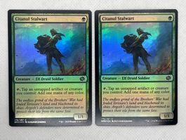 Magic the Gathering: 2x Citanul Stalwart Foil Karte Top!