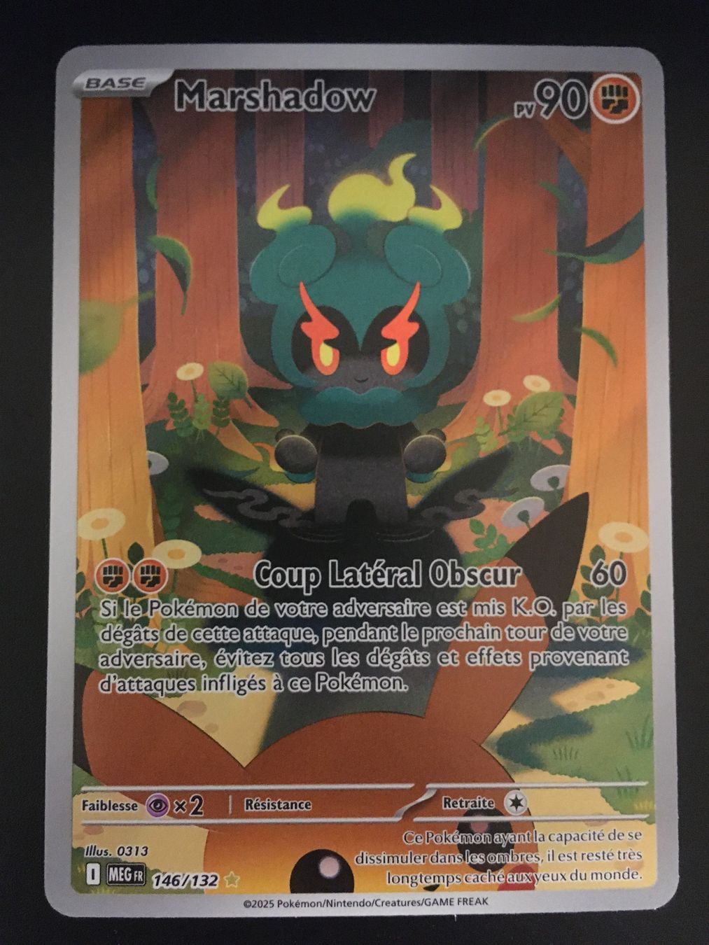 Pokémon Méga-Evolution: Marshadow 146/132 FR (D'occasion) à Palézieux ...