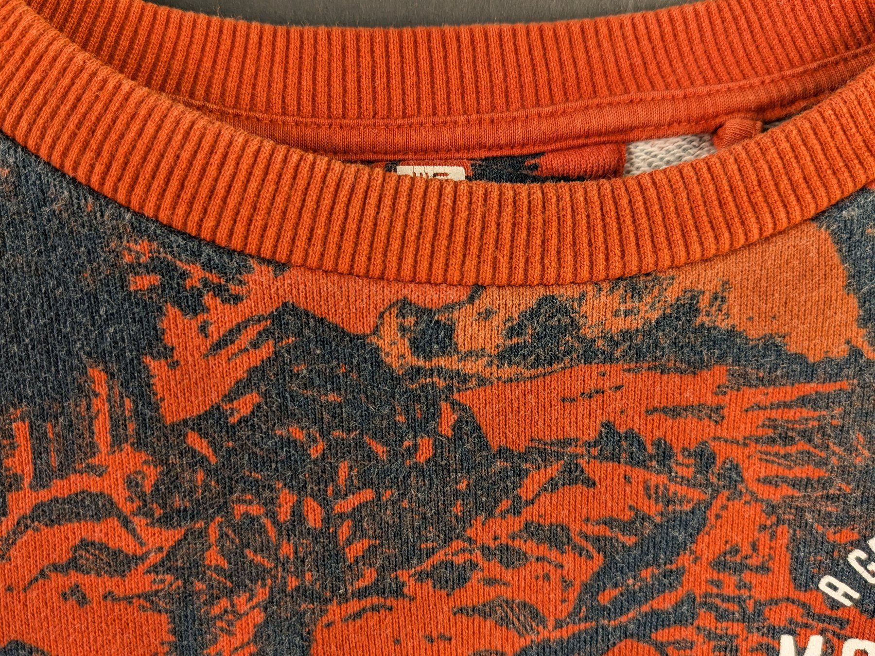 We Maglioni & Felpe: WE Jungen Sweater, Pullover Gr. 158/164 – Usato da Dintikon venduto da Restwert_Dintikon 4