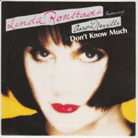 Linda Ronstadt & Aaron Neville - Don't know... 7" Vinyl 1989