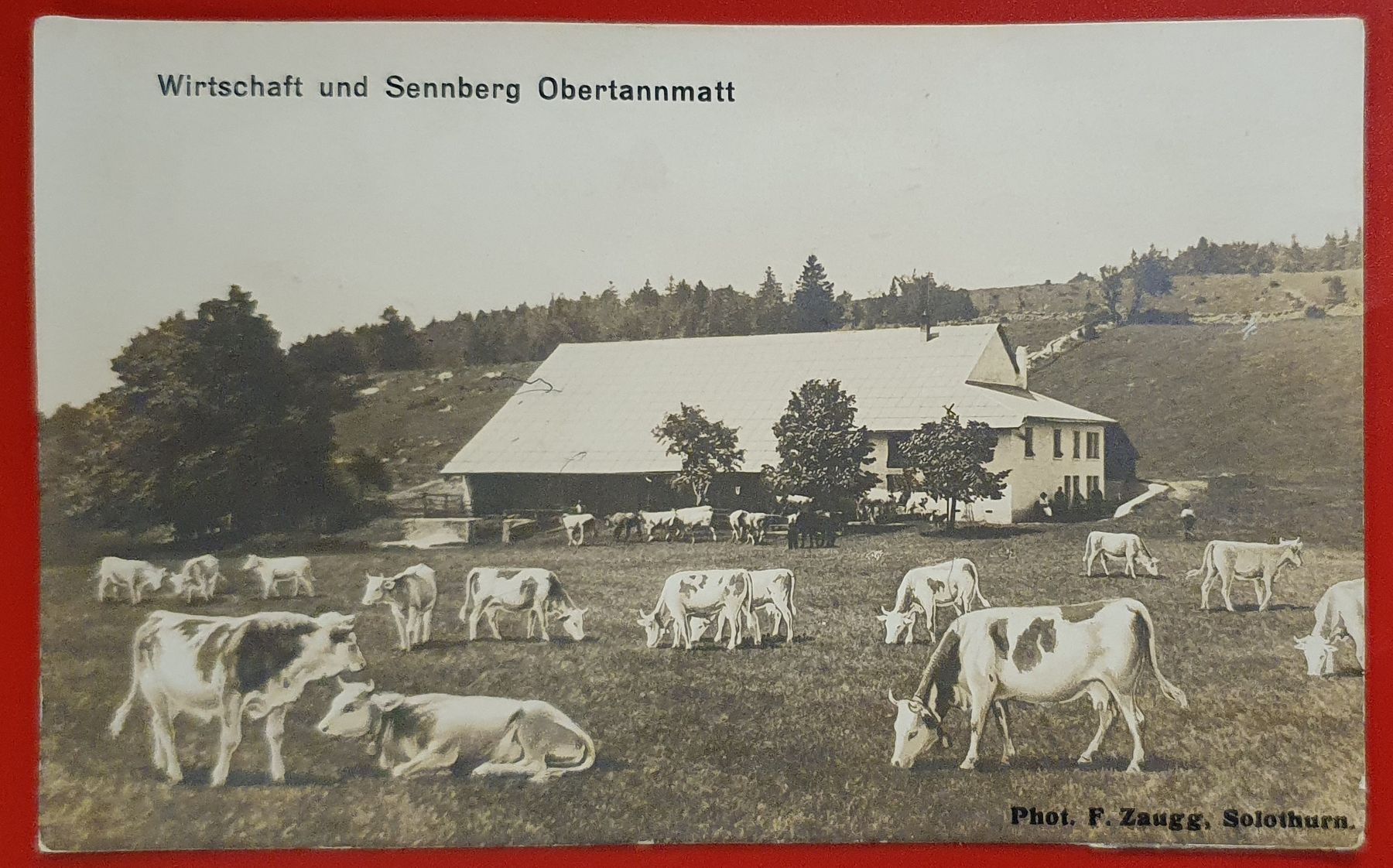 Cartoline postali: Wirtschaft und Sennberg Obertannmatt 1925 – Usato da Kreuzlingen venduto da Rschweiz1