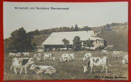 Wirtschaft und Sennberg Obertannmatt 1925